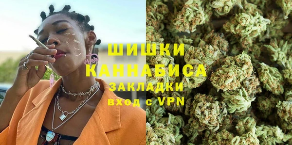 PSILOCYBIN Гусев