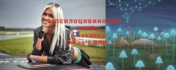 jwh Гусь-Хрустальный