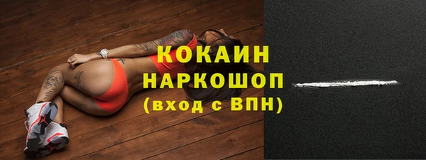 jwh Гусь-Хрустальный