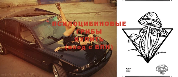 PSILOCYBIN Гусев