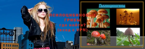 PSILOCYBIN Гусев
