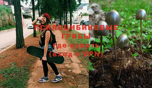 PSILOCYBIN Гусев