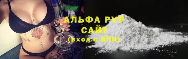 PSILOCYBIN Гусев