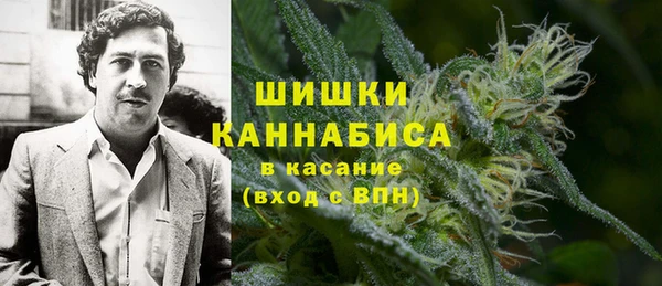 PSILOCYBIN Гусев