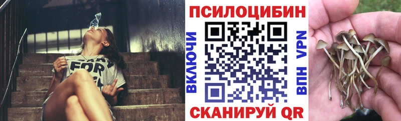 Галлюциногенные грибы мицелий  Купить  Саки 